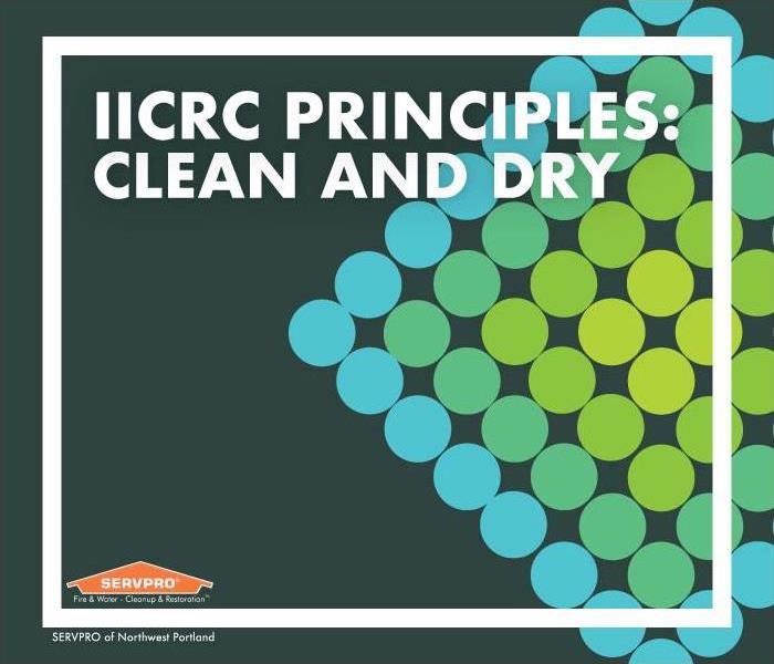 Green and blue dots in a diamond pattern. Text reads: "IICRC principles: clean and dry"