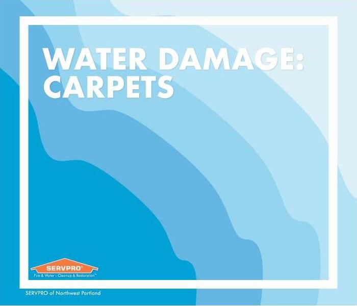 Blue color gradient from dark to light, text that reads water damage: carpets